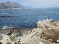 Hermanus (9) 